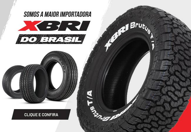 XBRI